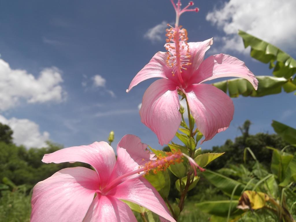 Yoisama Sunrise Beach House Ishigaki  外观 照片