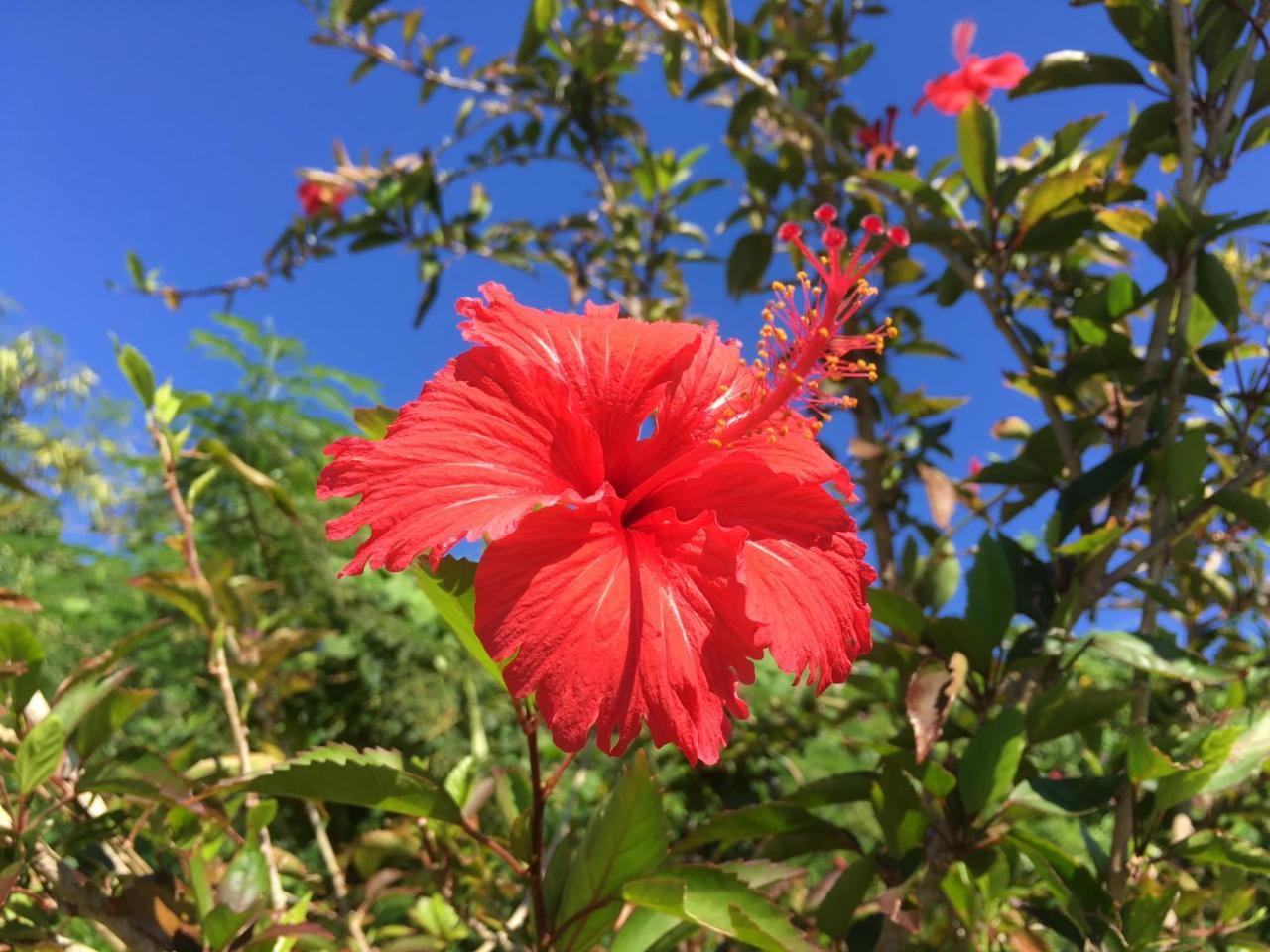 Yoisama Sunrise Beach House Ishigaki  外观 照片